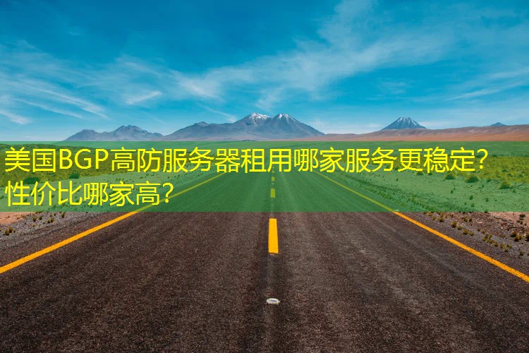 美国BGP高防服务器租用哪家服务更稳定？性价比哪家高？