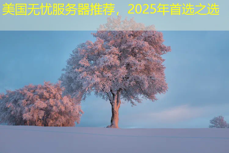 美国无忧服务器推荐，2025年首选之选