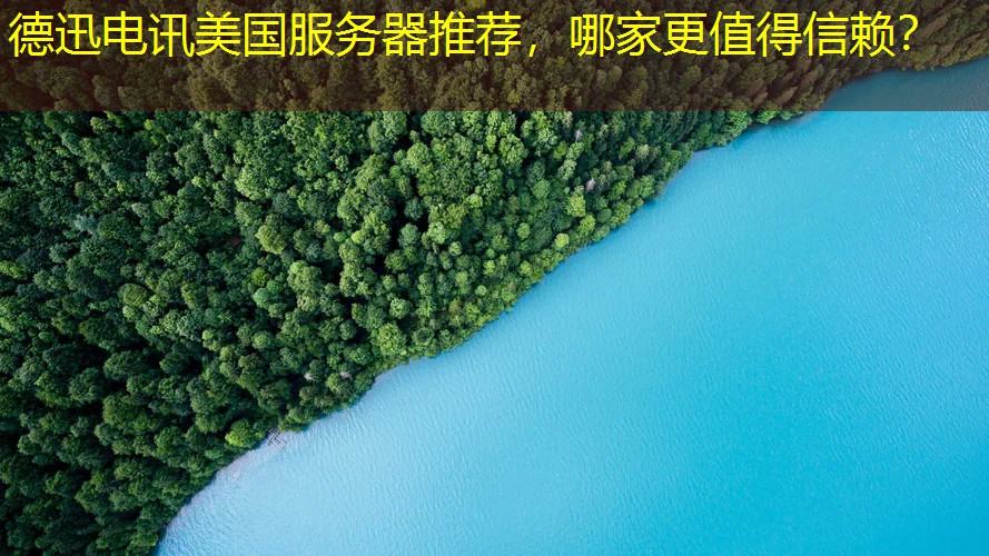 德迅电讯美国服务器推荐，哪家更值得信赖？