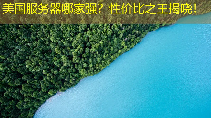 美国服务器哪家强？性价比之王揭晓！