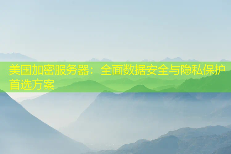 美国加密服务器：全面数据安全与隐私保护首选方案