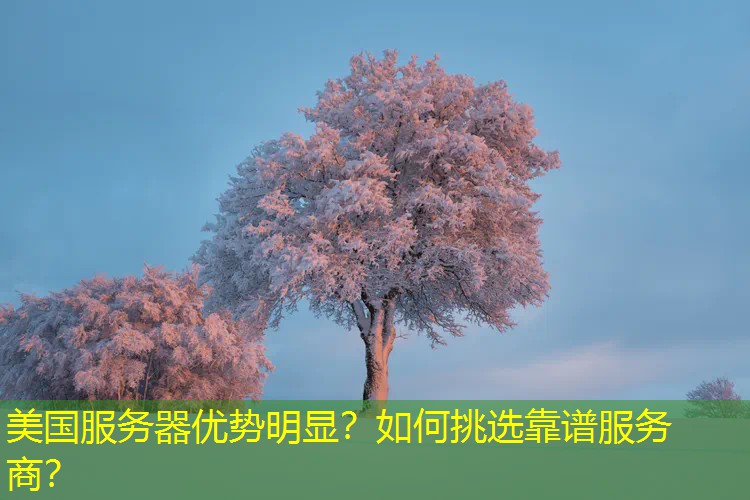 美国服务器优势明显？如何挑选靠谱服务商？
