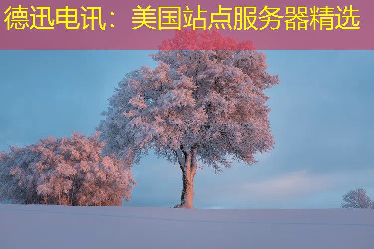 德迅电讯：美国站点服务器精选