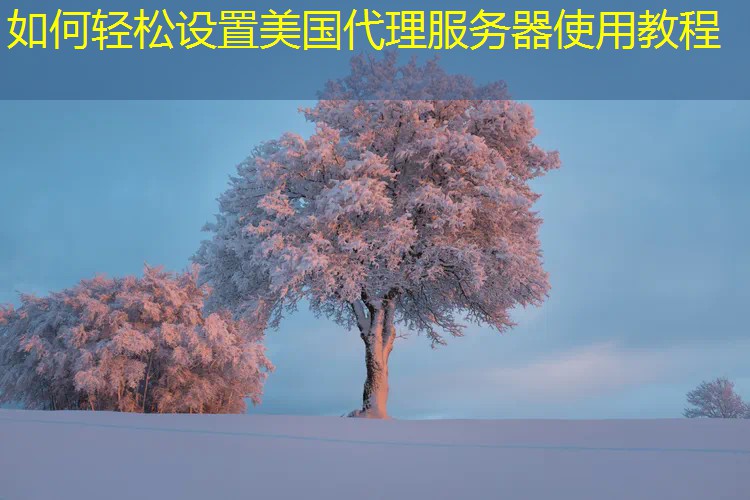 如何轻松设置美国代理服务器使用教程