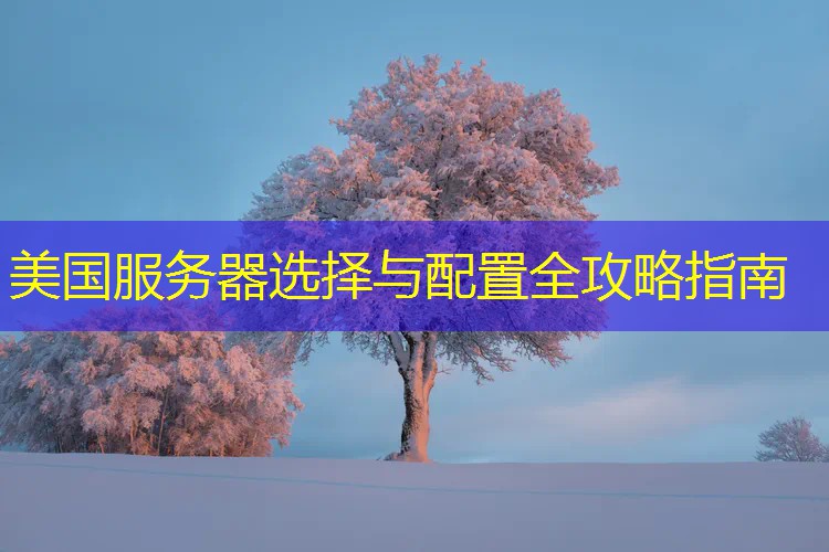 美国服务器选择与配置全攻略指南