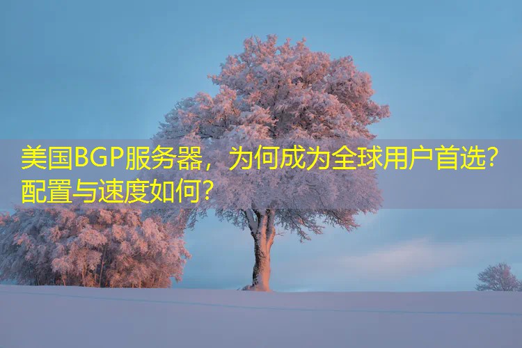 美国BGP服务器，为何成为全球用户首选？配置与速度如何？