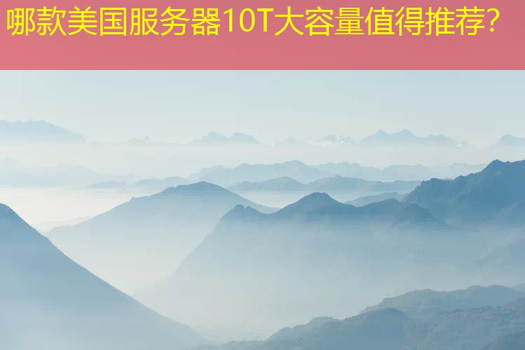 哪款美国服务器10T大容量值得推荐？