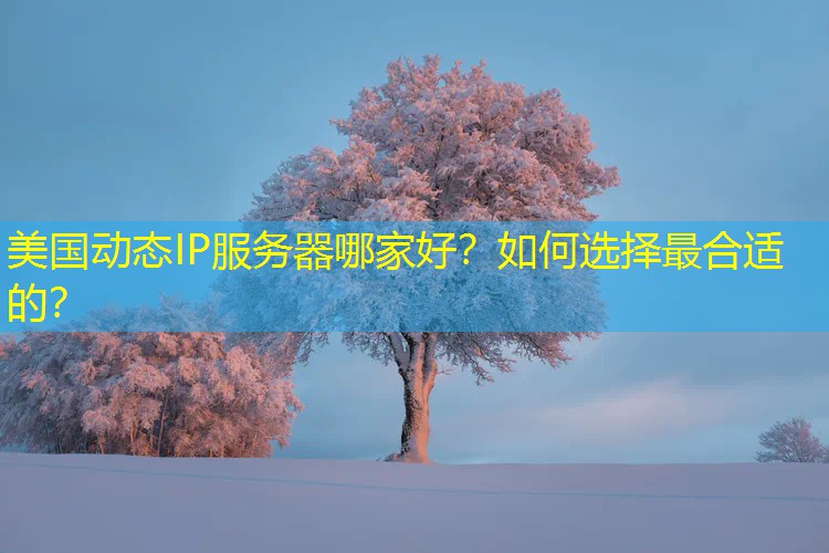 美国动态IP服务器哪家好？如何选择最合适的？