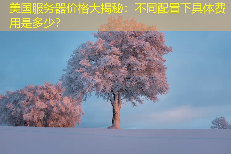 美国服务器价格大揭秘：不同配置下具体费用是多少？