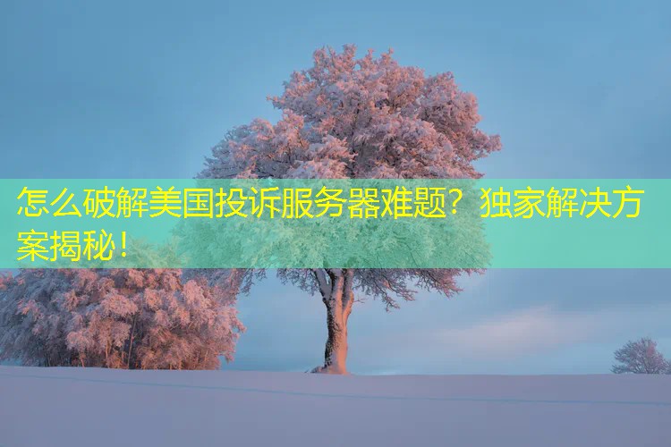 怎么破解美国投诉服务器难题？独家解决方案揭秘！