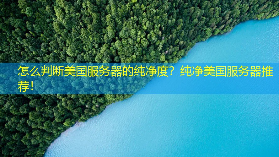 怎么判断美国服务器的纯净度？纯净美国服务器推荐！