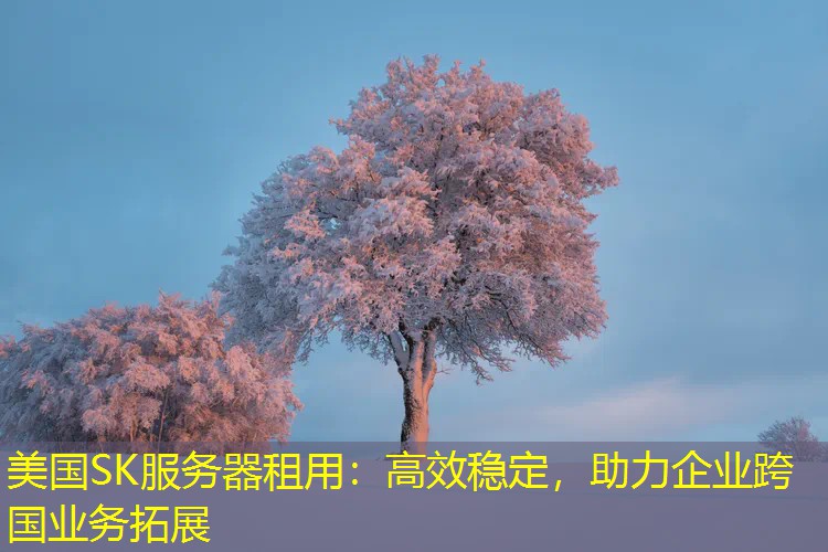 美国SK服务器租用：高效稳定，助力企业跨国业务拓展