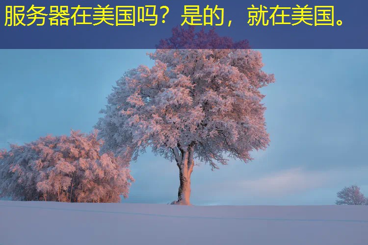 服务器在美国吗？是的，就在美国。