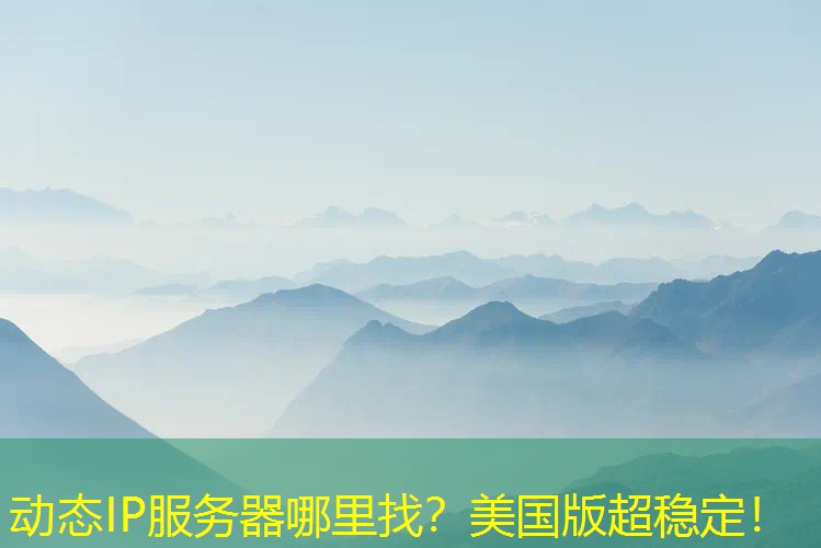 动态IP服务器哪里找？美国版超稳定！
