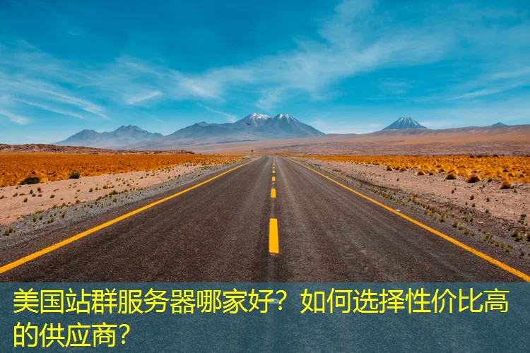 美国站群服务器哪家好？如何选择性价比高的供应商？