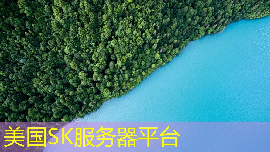美国SK服务器平台