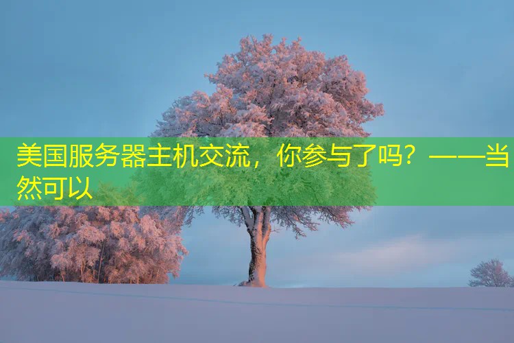 美国服务器主机交流，你参与了吗？——当然可以