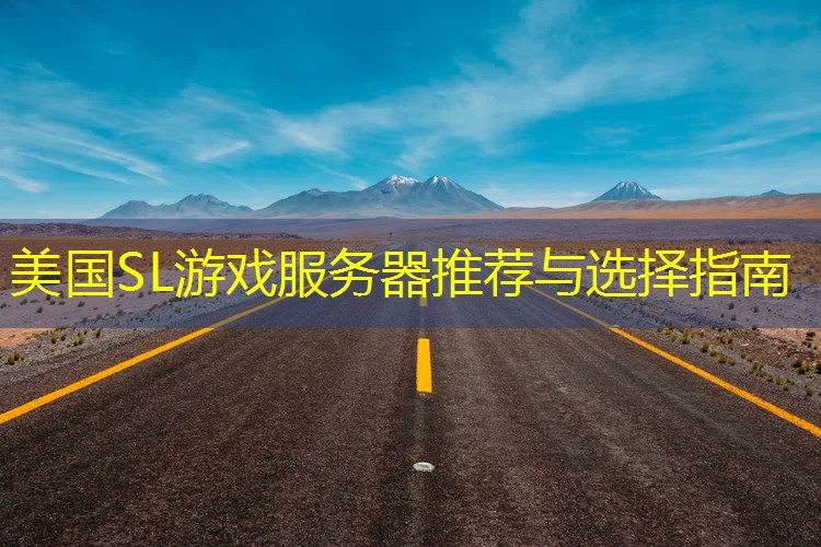 美国SL游戏服务器推荐与选择指南