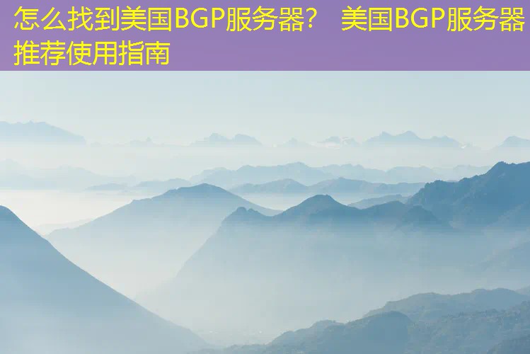 怎么找到美国BGP服务器？ 美国BGP服务器推荐使用指南