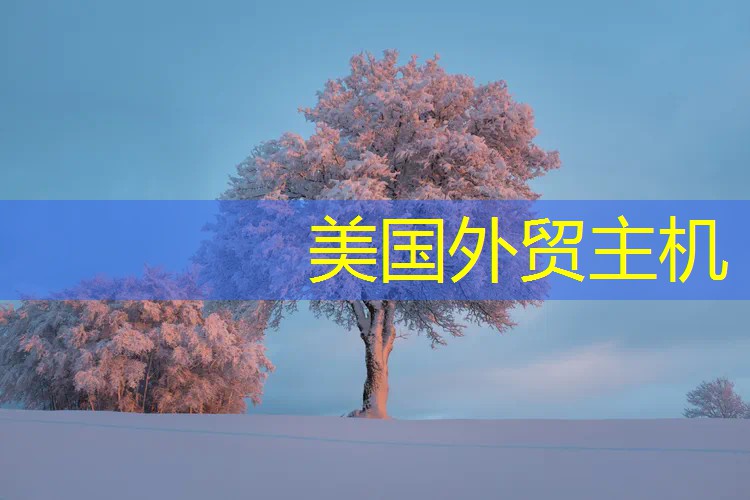 美国外贸主机