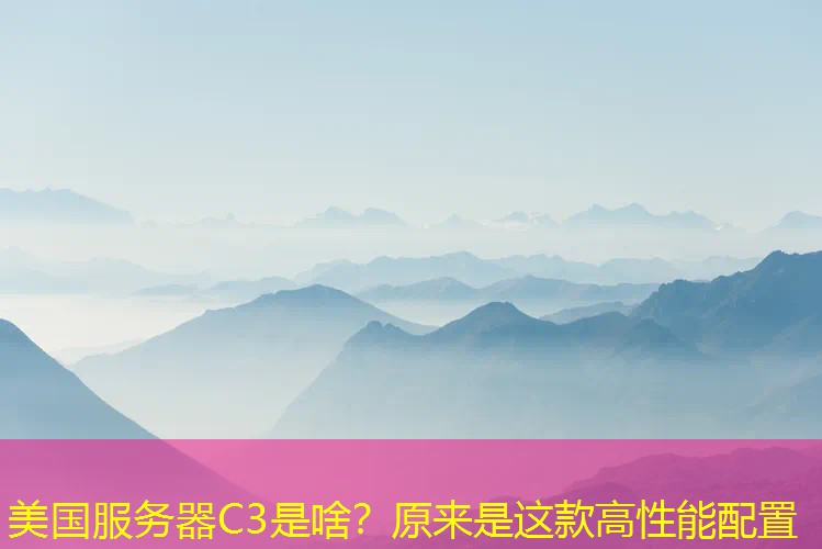 美国服务器C3是啥？原来是这款高性能配置