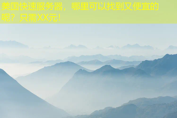 美国快速服务器，哪里可以找到又便宜的呢？只需XX元！