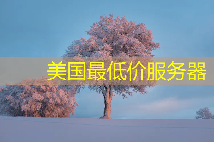 美国最低价服务器