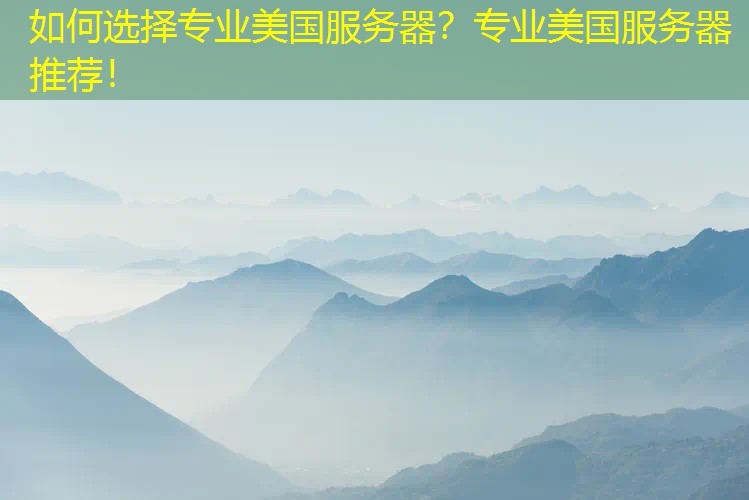 如何选择专业美国服务器？专业美国服务器推荐！