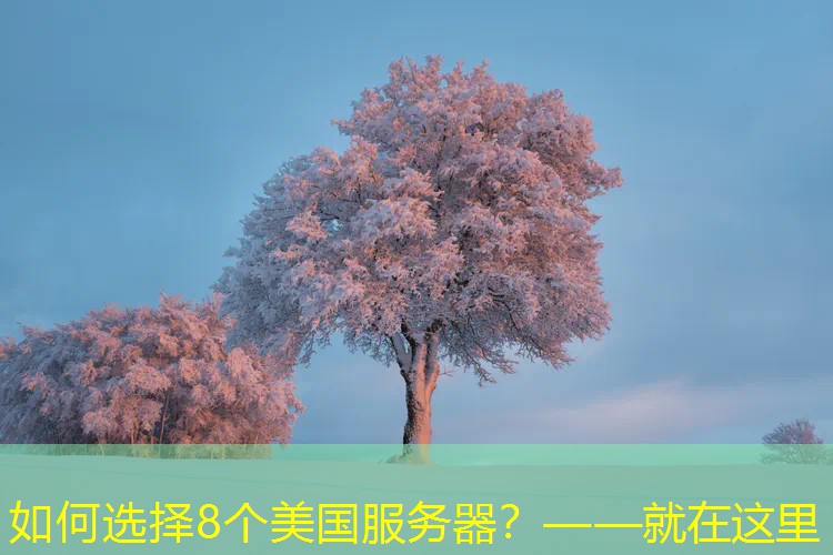 如何选择8个美国服务器？——就在这里