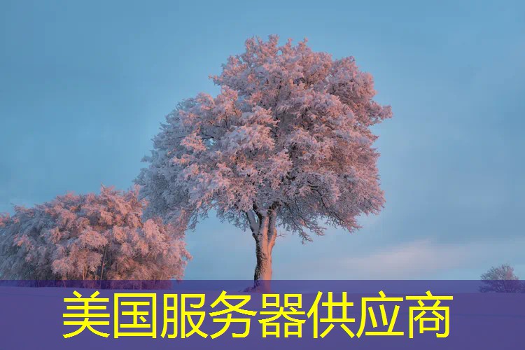 美国服务器供应商