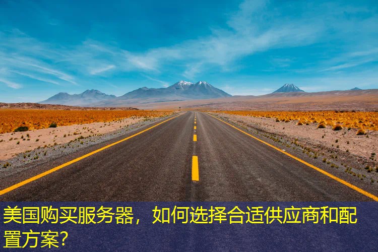 美国购买服务器，如何选择合适供应商和配置方案？