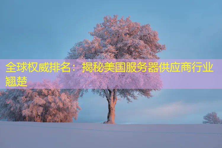 全球权威排名：揭秘美国服务器供应商行业翘楚