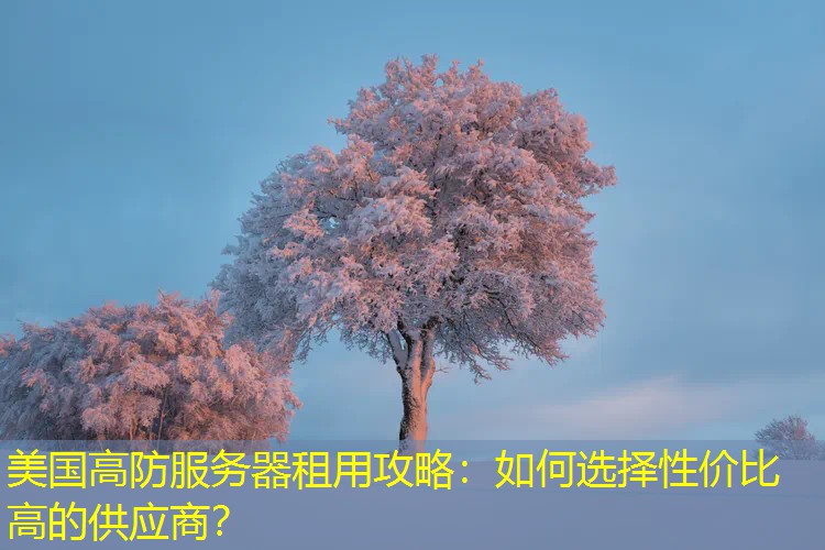美国高防服务器租用攻略：如何选择性价比高的供应商？