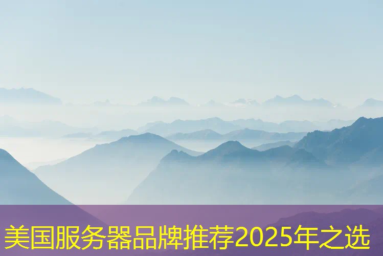 美国服务器品牌推荐2025年之选