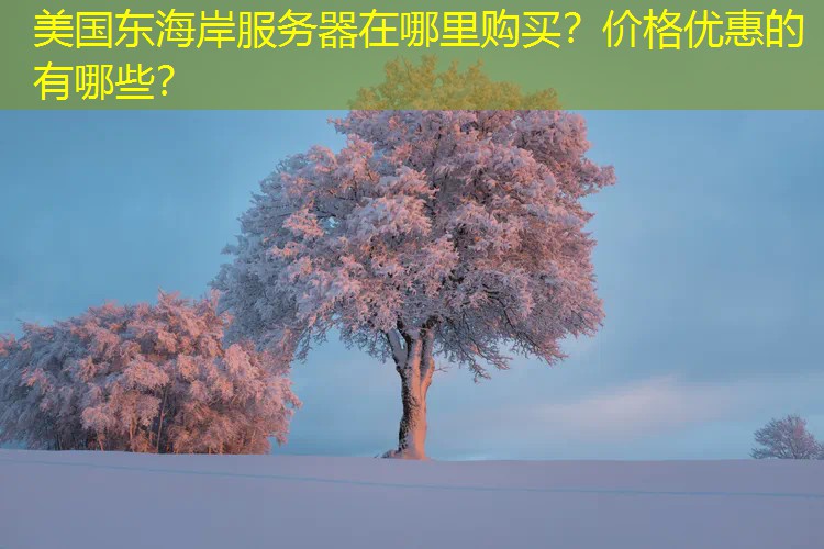 美国东海岸服务器在哪里购买？价格优惠的有哪些？
