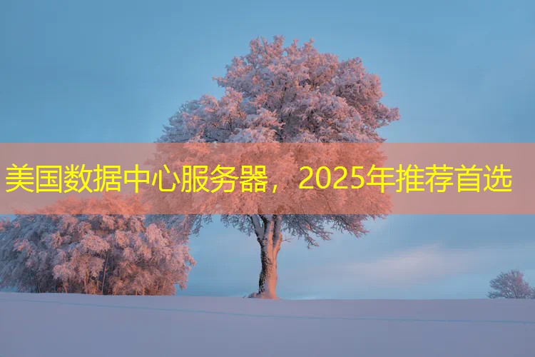 美国数据中心服务器，2025年推荐首选