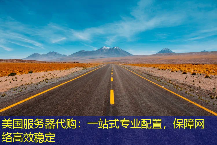 美国服务器代购：一站式专业配置，保障网络高效稳定