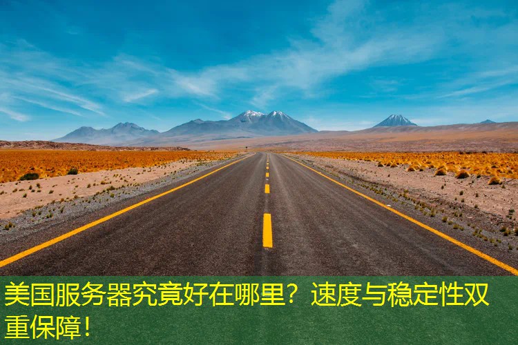 美国服务器究竟好在哪里？速度与稳定性双重保障！