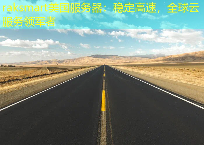 raksmart美国服务器：稳定高速，全球云服务领军者