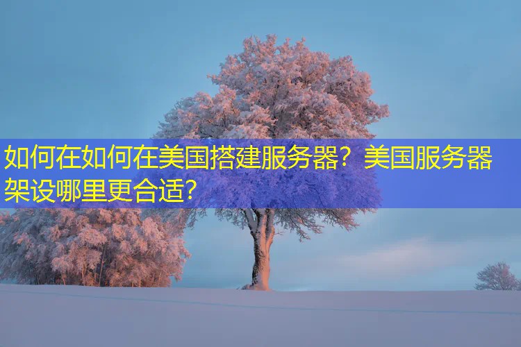 如何在如何在美国搭建服务器？美国服务器架设哪里更合适？