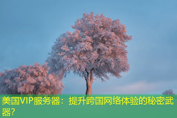 美国VIP服务器：提升跨国网络体验的秘密武器？