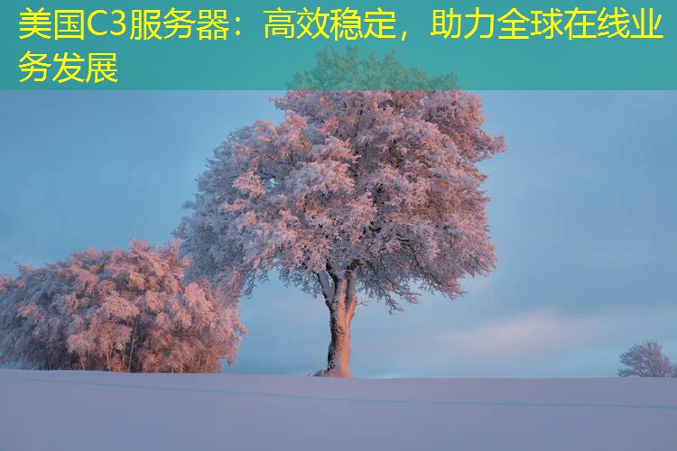 美国C3服务器：高效稳定，助力全球在线业务发展