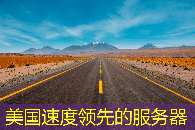美国速度领先的服务器