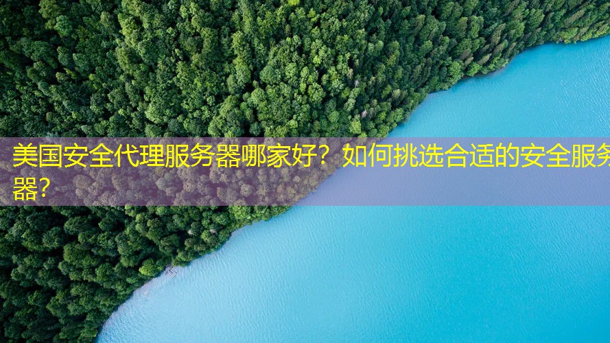 美国安全代理服务器哪家好？如何挑选合适的安全服务器？