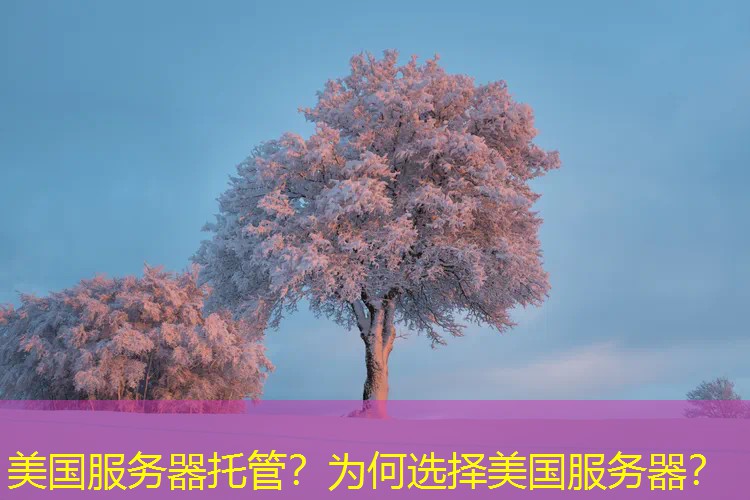 美国服务器托管？为何选择美国服务器？