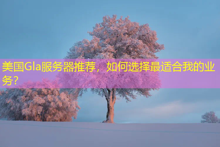 美国Gla服务器推荐，如何选择最适合我的业务？