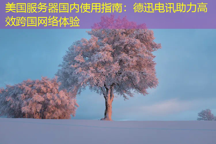 美国服务器国内使用指南：德迅电讯助力高效跨国网络体验