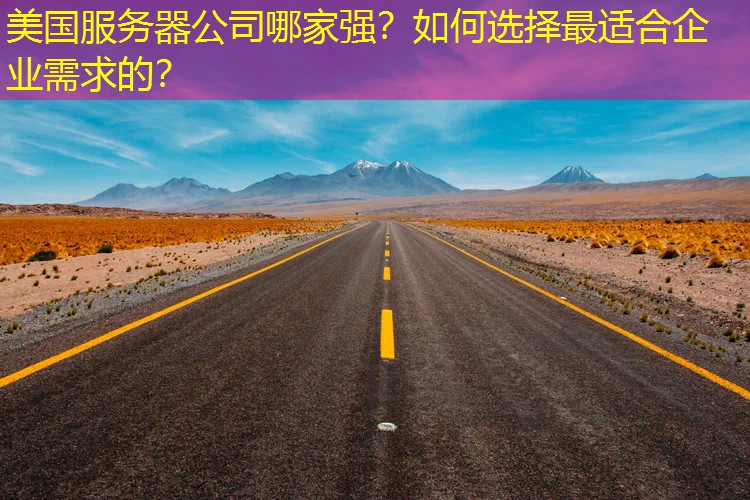 美国服务器公司哪家强？如何选择最适合企业需求的？