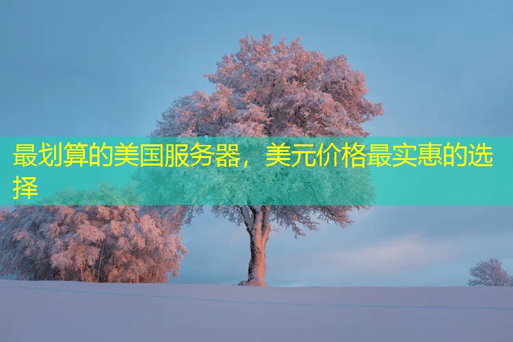 最划算的美国服务器，美元价格最实惠的选择