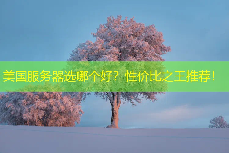 美国服务器选哪个好？性价比之王推荐！